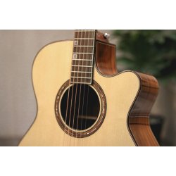 Fonzo V-201S OM Cutaway